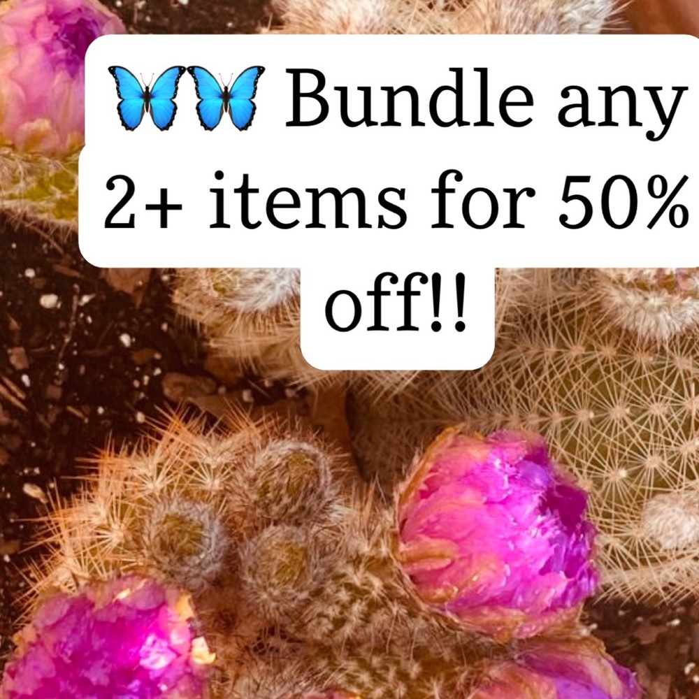 🦋🦋Bundle any 2+ items for 50% off!